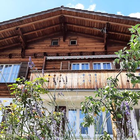 Cozy Chalet By Interlaken. Parking Ringgenberg Zewnętrze zdjęcie