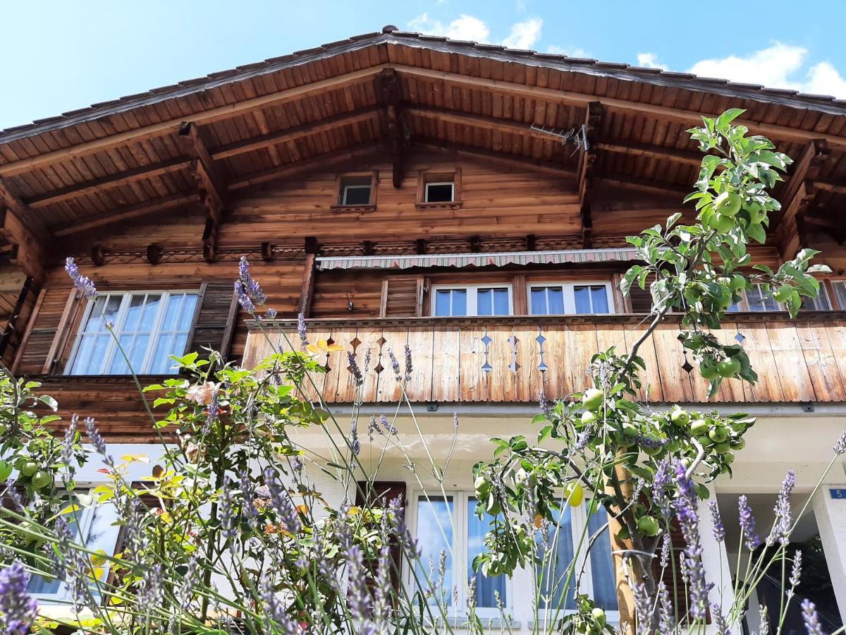 Cozy Chalet By Interlaken. Parking Ringgenberg Zewnętrze zdjęcie